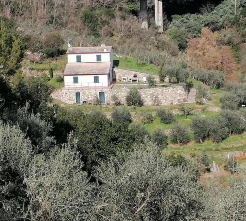 Villa Teca & Succo - Nature E Relax Sestri Levante Exteriér fotografie